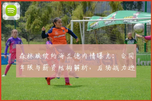 森林狼续约海兰德内情曝光:合同年限与薪资结构解析,后场战力迎来质变